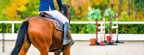 Beautiful girl on sorrel horse in jumping show, equestrian sports. Light-brown horse and girl in uniform going to jump. Horizontal web header or banner design.