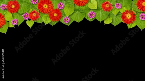 Flowers with green leaves frame 