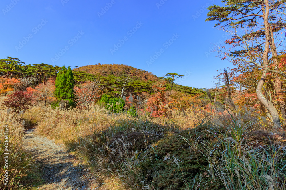 秋のえびの高原 登山道 宮崎県えびの市 Ebino plateau autumn Trail Miyazaki Ebino city 秋のえびの高原 登山道 宮崎県えびの市 Ebino plateau autumn Trail Miyazaki Ebino city