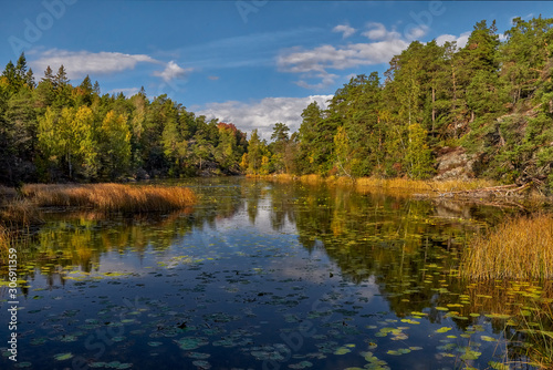 Fototapeta Naklejka Na Ścianę i Meble -  Autumn at the lake - Sweden, Stockholm, around the Bagarmossen district