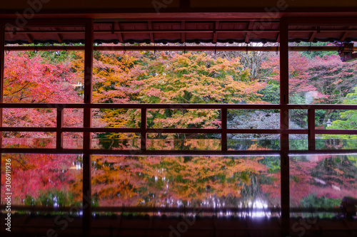 日本家屋から見た紅葉