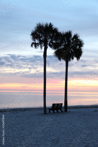 Blue sunset with palm trees on the beach in Florida in winter