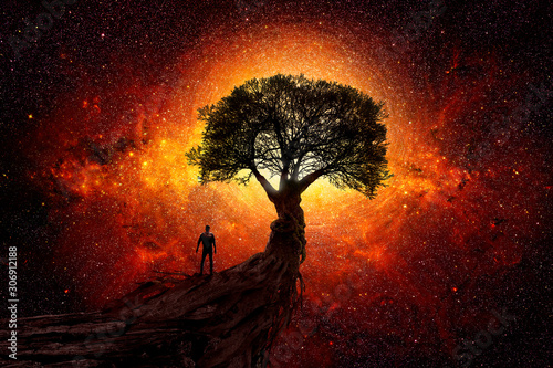 Man under a tree in front of the universe