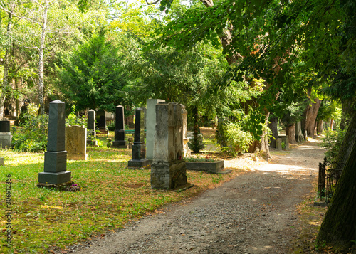 Photography Old overgrown gravestones in an historic cemetery in Bratislava, Slovakia