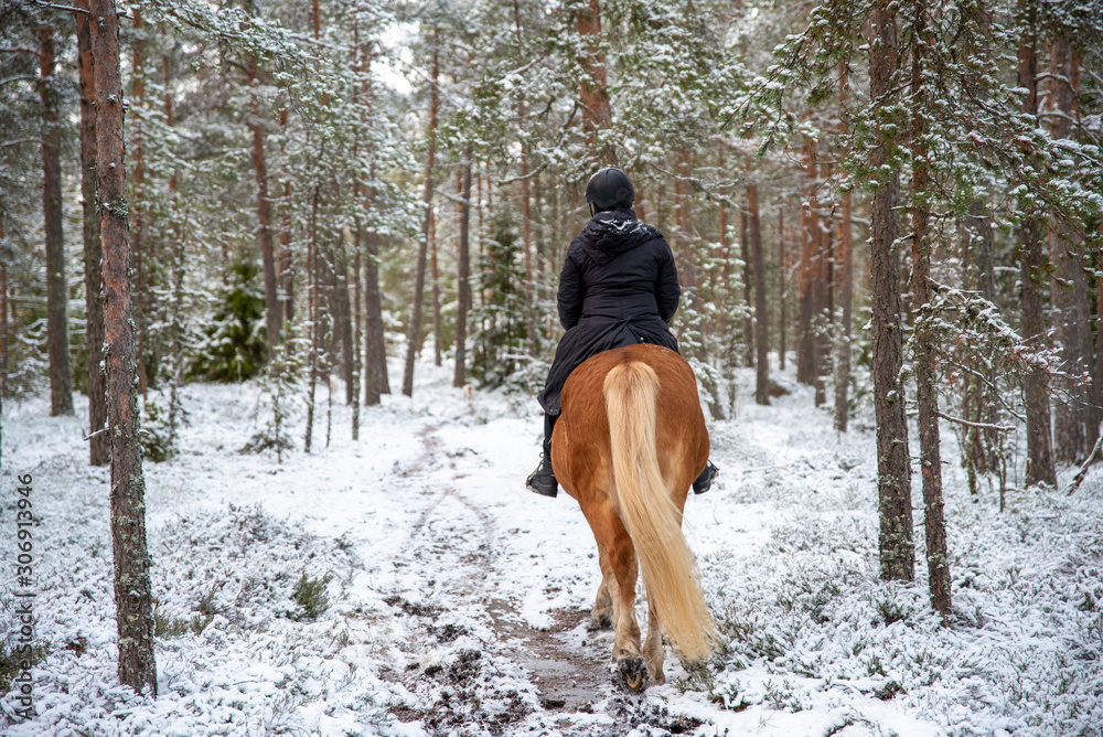 Woman horseback riding in forest in winter