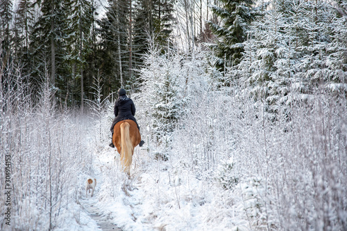 Woman horseback riding in forest in winter