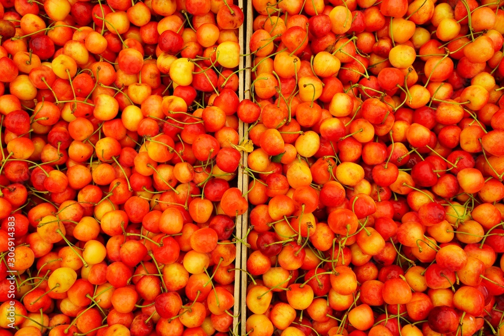 Fresh organic cherries at a farmers market