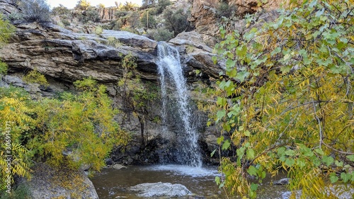 waterfall in forest