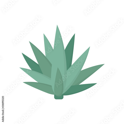 Agave icon flat style simple design