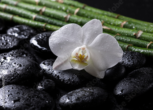 Bamboo sticks with black zen stones and white orchid on a black background. Spa concept