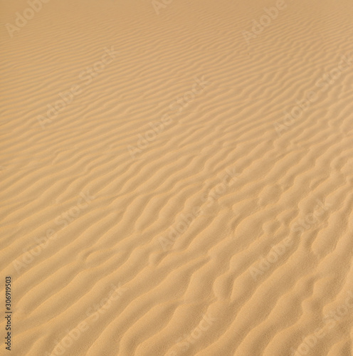 Dune MArocaine