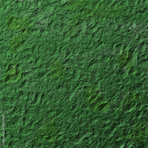 Algae stone texture 