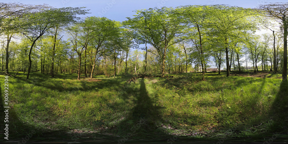 Fototapeta premium Springtime Park 360 Panorama