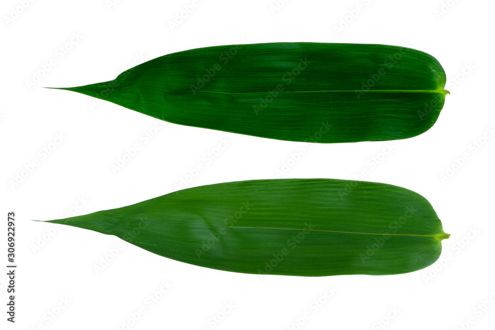 Bamboo leaves green isolated on white the background. Bamboo leaves green isolated on white the background.