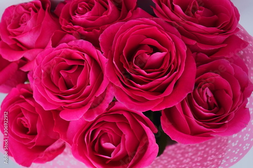 Bouquet of large bright pink roses