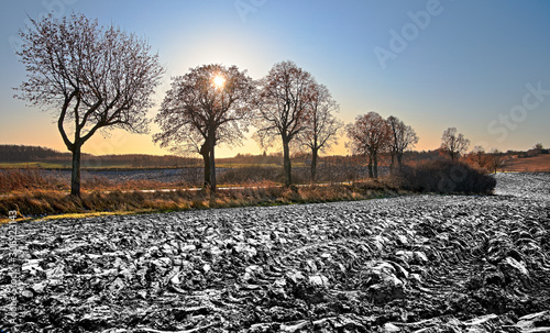 Jesienne Pole Obsypane Śniegiem photo