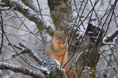 Winter Breakfast