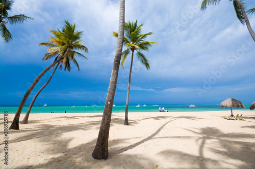Coconut palm trees on the beach against turquoise water of sea and dark cloudy sky  Punta Cana  Dominican Republic