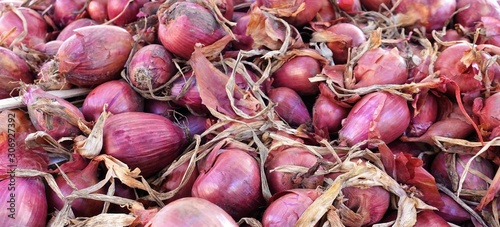 close-up of onions on display at the market