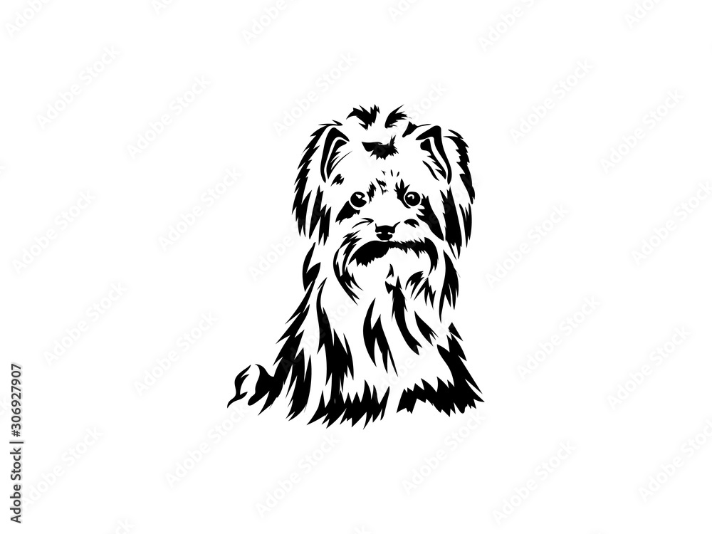 Sketch Funny dog Yorkshire terrier breed sitting hand drawing vector ...