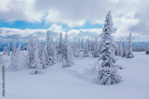 Beautiful winter landscape with snow covered trees and cloudy sky.