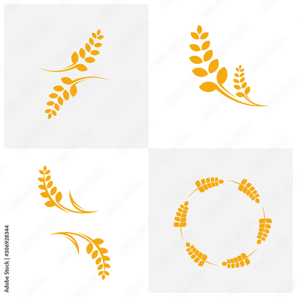 Set of Agriculture Wheat logo template vector, Luxury Wheat Logo Concept, Icon Symbol