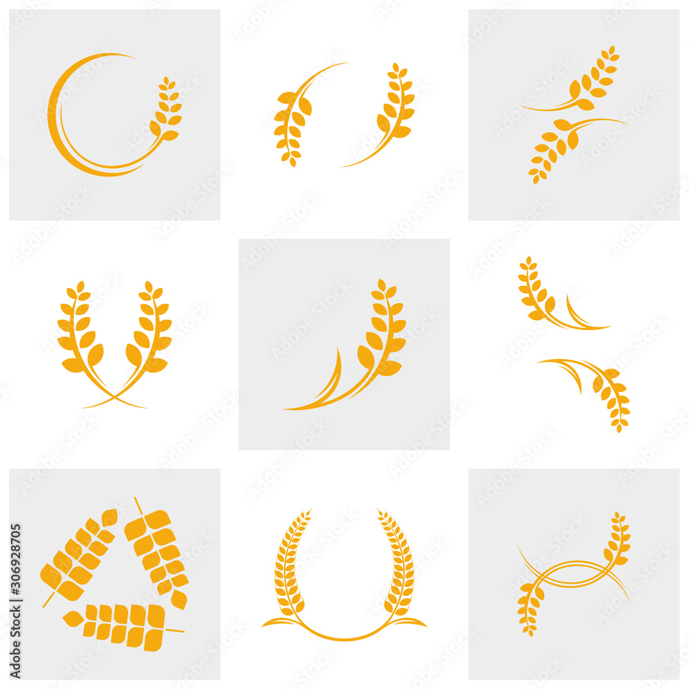 Set of Agriculture Wheat logo template vector, Luxury Wheat Logo Concept, Icon Symbol Set of Agriculture Wheat logo template vector, Luxury Wheat Logo Concept, Icon Symbol