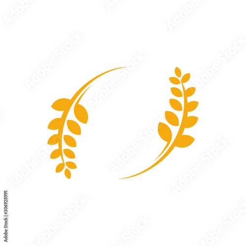 Agriculture Wheat logo template vector, Luxury Wheat Logo Concept, Icon Symbol