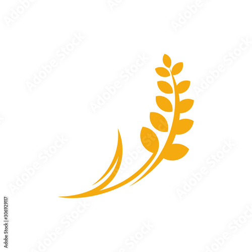 Agriculture Wheat logo template vector, Luxury Wheat Logo Concept, Icon Symbol