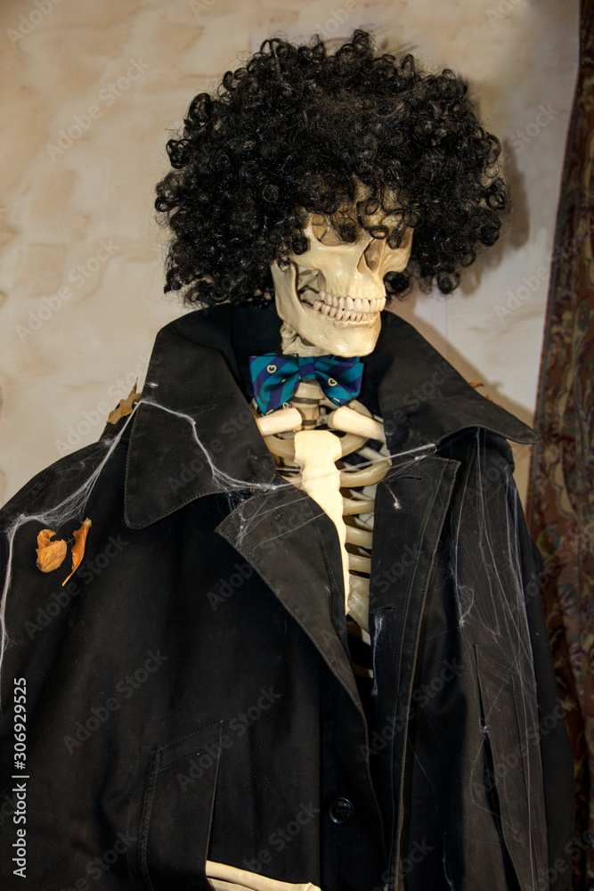 skeleton in a coat and wig. halloween decoration