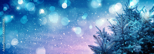 Winter Christmas background with fir tree branch and lights. © Swetlana Wall