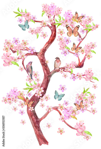 flowering tree of cherry with sitting couple of birds on branches and flying butterflies around. watercolor painting