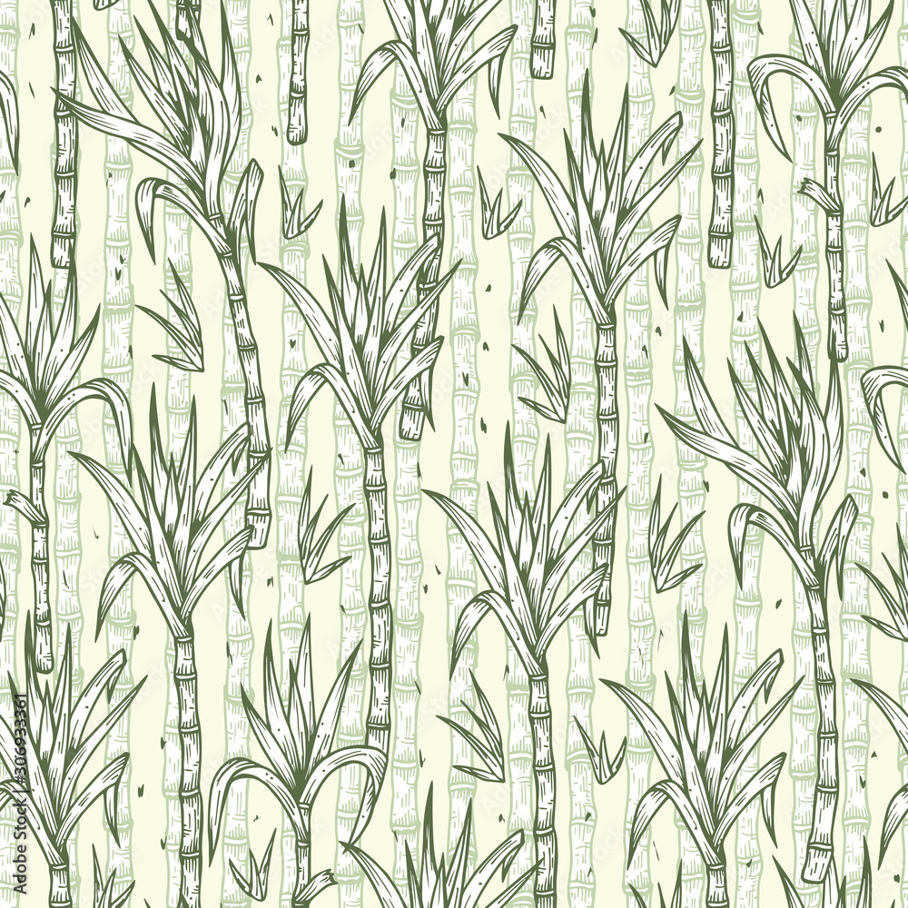 Hand Drawn Sugarcane Plants Vector Seamless Pattern. Sugar cane stalks with leaves endless background