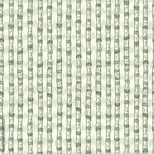 Hand Drawn Stems of Bamboo or Sugarcane Vector Seamless Pattern