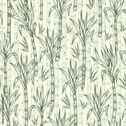 Hand Drawn Sugarcane Plants Vector Seamless Pattern. Sugar cane stalks with leaves endless background