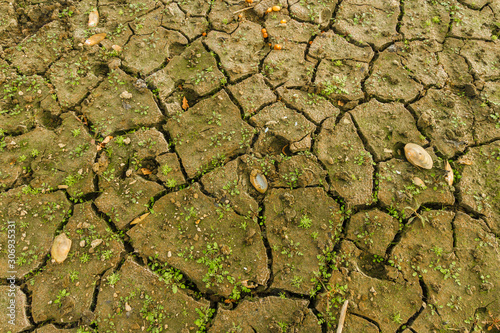 Lake bottom in time of drought