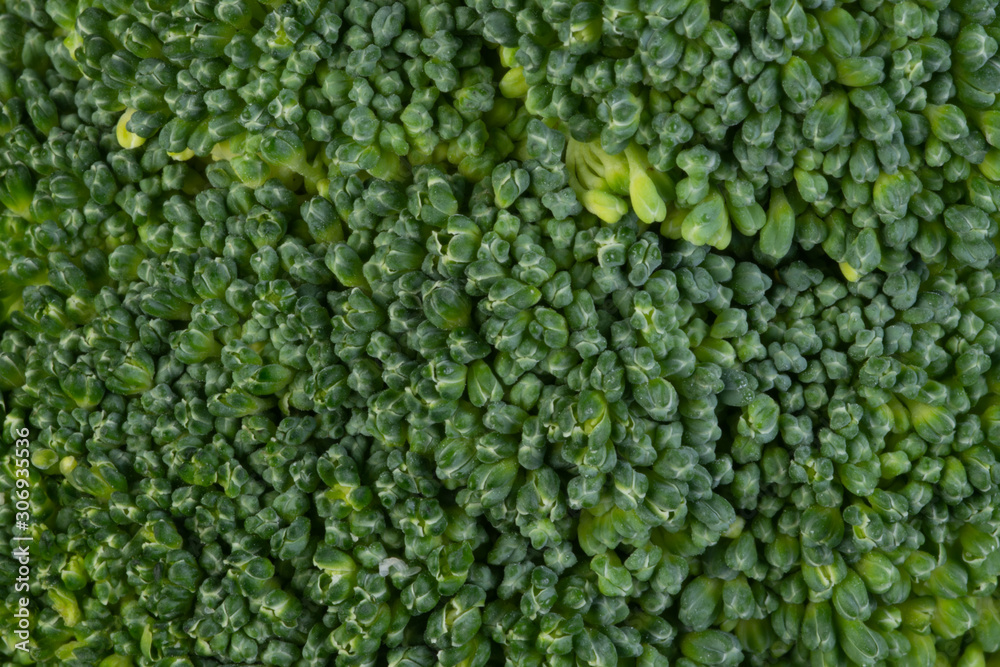 close up of broccoli close up of broccoli