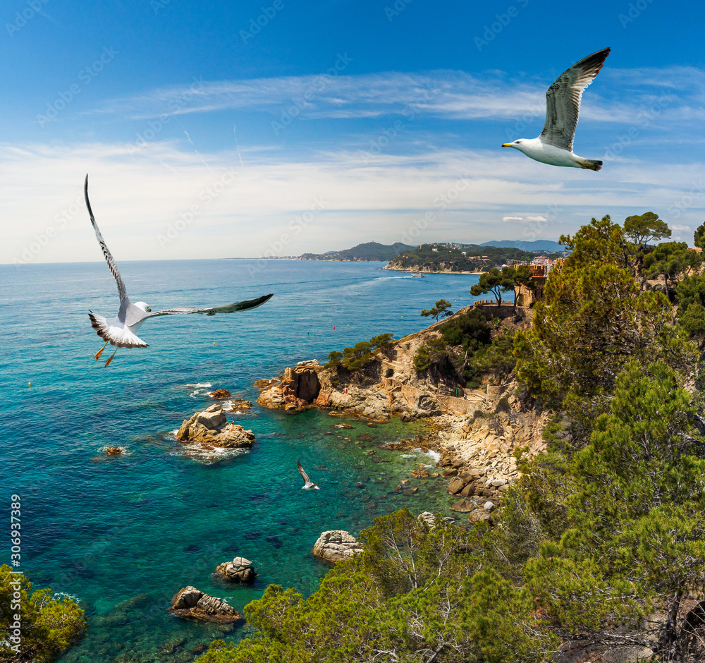 Fototapeta premium Coastline of spanish resort Lloret de Mar on the Costa Brava.