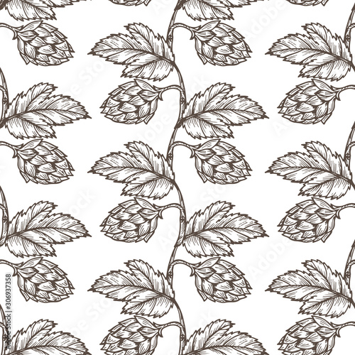 Hand drawn engraving style Hops Seamless pattern. Common hop or Humulus lupulus branch with leaves and cones. Black and white Vector Floral background