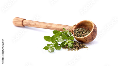 Oregano or marjoram leaves isolated on white background. Oregano fresh and dry in wooden spoon.
