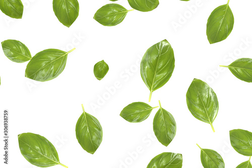 Basil leaves falling down with white background