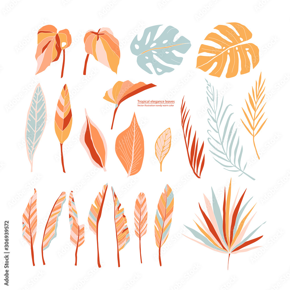 Set of Tropical leaves drawing abstract illustration. Vector elements for pattern, logo, template, banner, posters, invitation and greeting card design. [преобразованный]