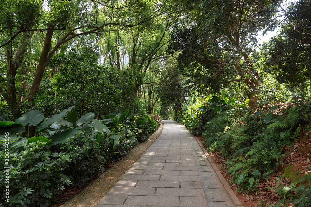 Concrete Alley in the Park