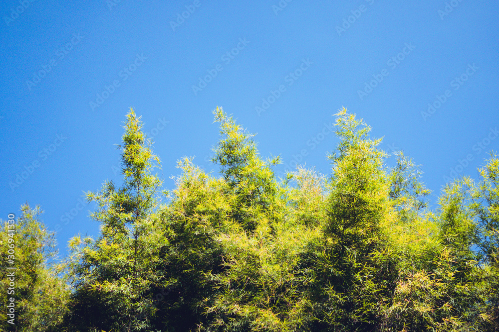 Daytime mountain clear sky  Mountain landscape