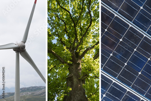 Nachhaltige Energie Collage - Windkraftwerk mit Solarpanel und Baum als erneuerbare ressource Symbol