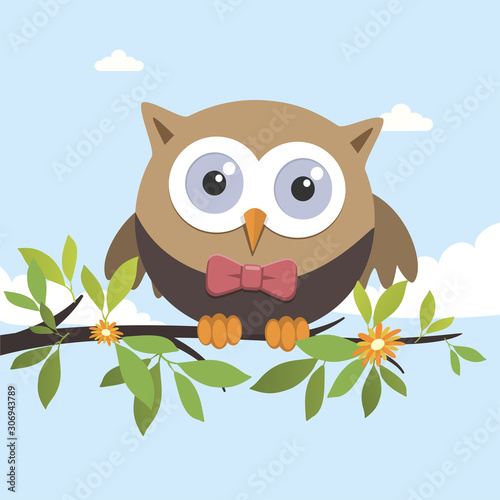 Male owl on a spring day