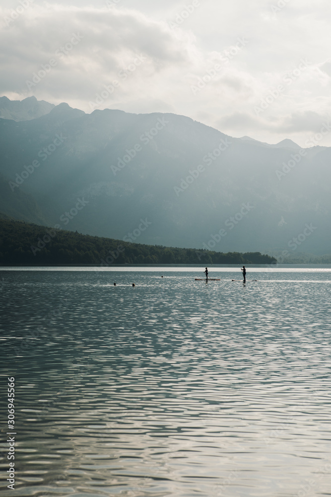 Obraz premium silhouette of couple paddle boarding on Bohinj lake, Slovenia. Two people on Stand Up Paddle Board in the middle of lake. Mountains in the background. Branches in the foreground. Selective focus