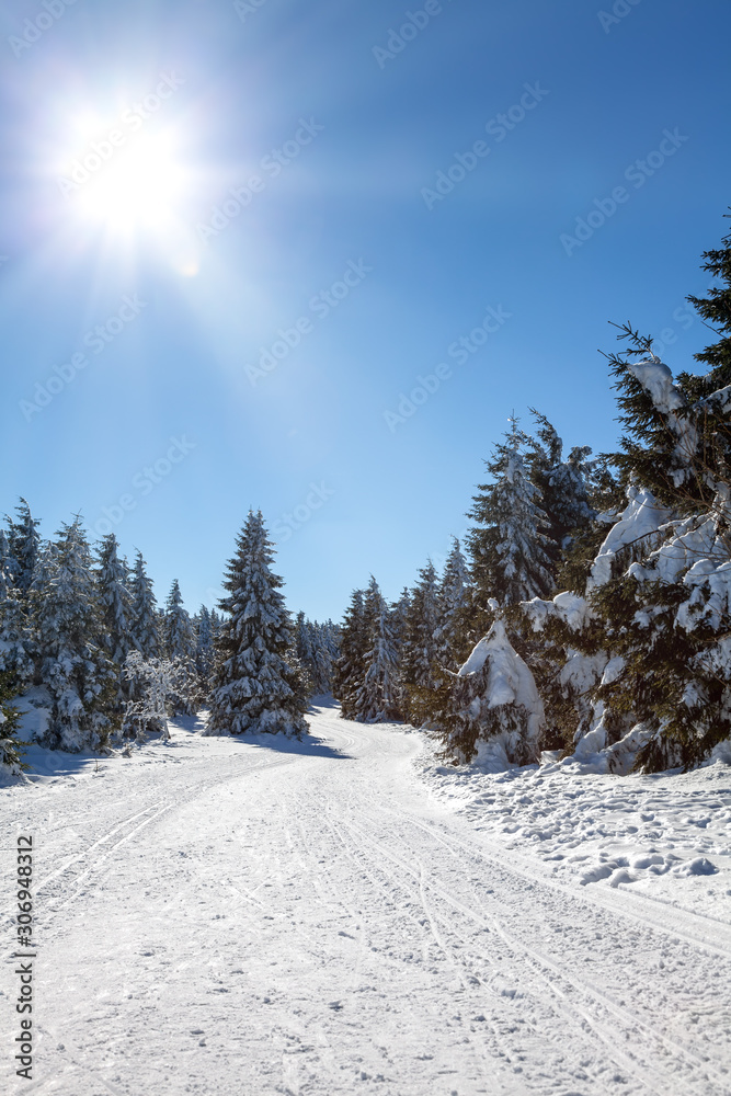 Langlaufloipe im verschneiten Thüringer Wald