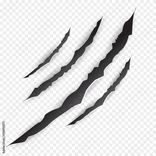 Claws scratches - vector
