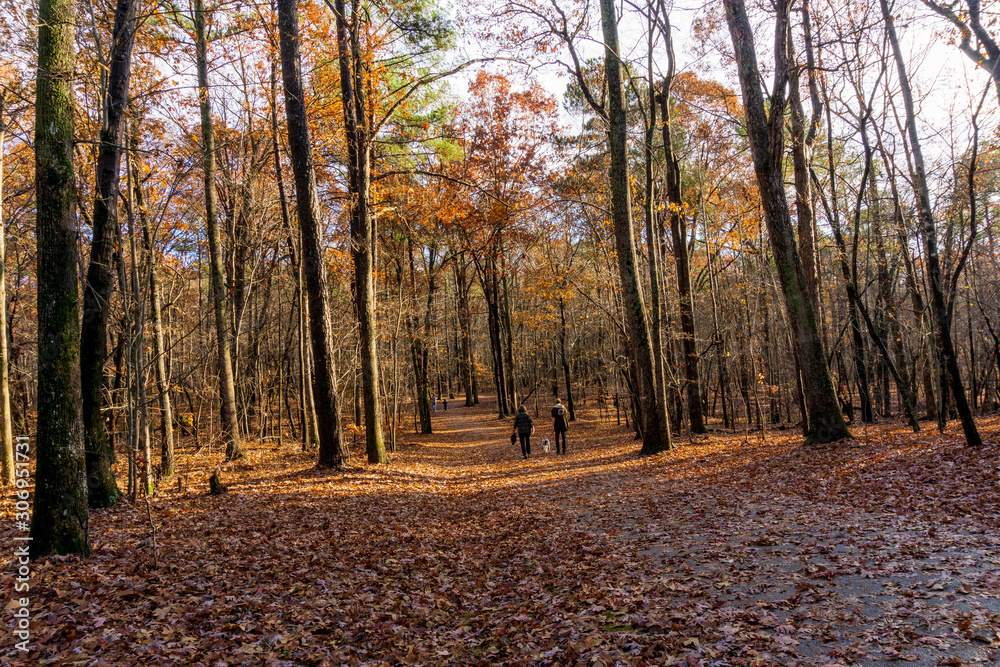 Fototapeta premium A summer walk on a trail around a lake.